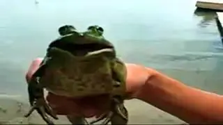 Music Instructor meets Crazy Frog