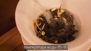 CEREMONY TEA - Моли Хуа Ча - Жасминовый китайский чай