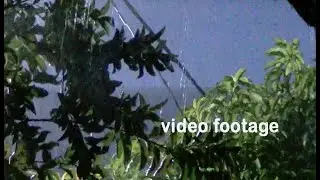 VIDEO FOOTAGE |  PETIR ANGIN DAN HUJAN 