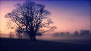 Video Games by Lana Del Rey (Stylust and Keyz Remix)
