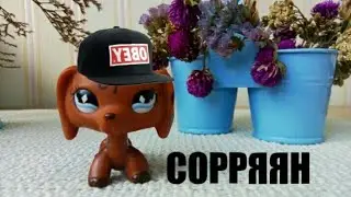 (LPS) ГДЕ ВИДЕО!?