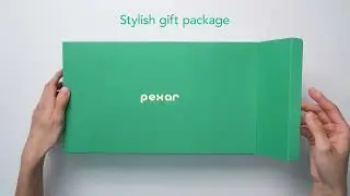 Lexar I Pexar Digital Picture Frame I 11-inch