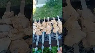 Куриный шашлык
