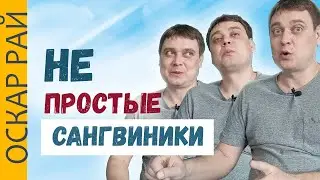 Кто такой САНГВИНИК •  Неочевидные свойства темперамента