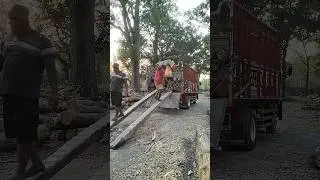 Load official teak wood in Indonesia 11 #woodworking #russia #america #india #korea #japan