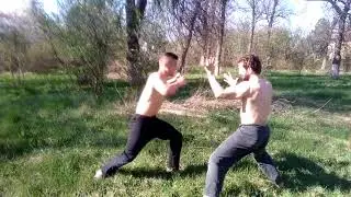 ninjutsu defense against punches