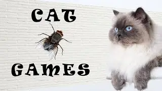 Catch the Fly. Entertainment game on screen for cats!!!