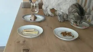 Hidden camera! Checking the 