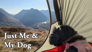 Solo Wild Camping in Scotland's Highlands with My Dog – Total Peace & Stunning Views