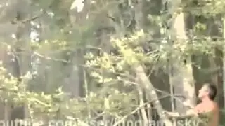 как мужик спас кота  Cat rescue fail
