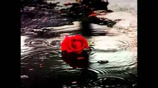 THE CRYING OF ROSE - TRADUCAO