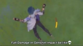 Fall Damage in Genshin Impact be like: