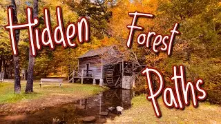 There is More Than Just The Smoky Mountains | Fall Leaves in East Tennessee