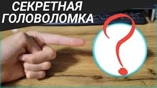 заказал СЕКРЕТНУЮ ГОЛОВОЛОМКУ ❓️ | mystery puzzle