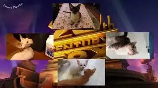 20th century cat 🐱