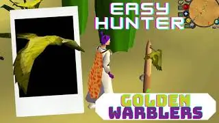 Golden Warbler OSRS Beginner Hunting Guide - Easy Desert Achievement Diary