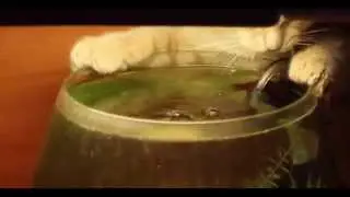 Водопой