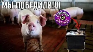 МЫ ПОБЕДИЛИ КАНАЛ СВИНЬИ КАК БИЗНЕС!