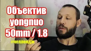 Объектив Yongnuo 50/1.8. Челлендж 21 день. День 7