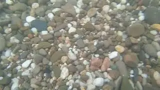 А вот и осень пришла.(4 сентября 2023 г.)