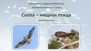 Видеопрезентация 