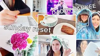Concierto DADDY YANKEE + Domingo de SELFCARE