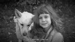 Сострадание НН - Найти друга просто