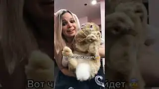 поэтому это первое правило нашего антикафе🐰