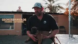 Protection Dogs @K9Defense