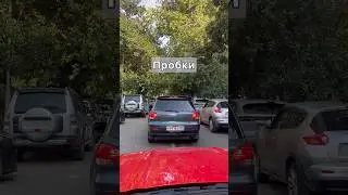 Типичный Сочи 😅 
