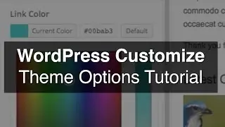 WordPress Customize (Color Picker) Tutorial