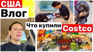 США Влог Что купила в магазине COSTCO Прикорм Вспомнилось Семейный Влог Big big family in the USA