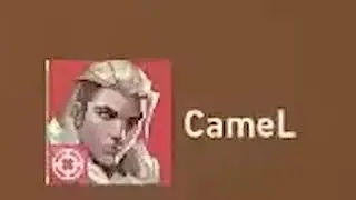 camel.mp4