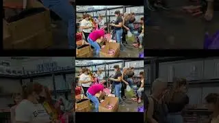 LOURICH in Hair Asia Philippines 20240509
