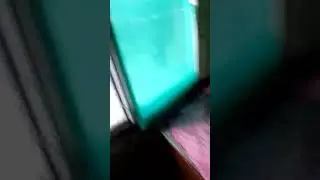 новая хата!