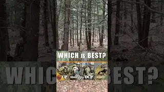 Can you see him?