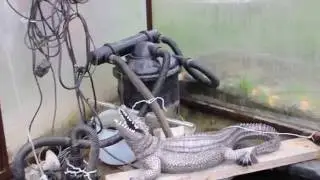Пруд на 8.5 м3 в теплице 1 часть