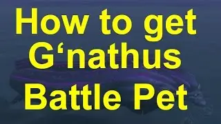 Soloing G'nathus - 100% pet drop g'nathus battle pet