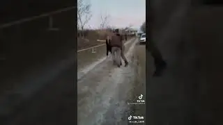 Onasini oyog'iga tiz chukgan bola
