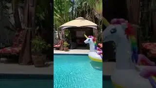 GayStPete House Clothing Optional Pool Area