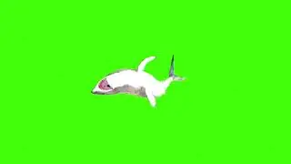 Faint shark green screen। green screen।Shark green screen।green screen।ostad animation
