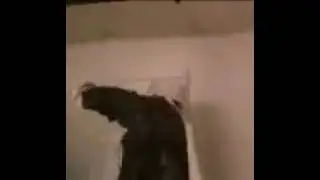 Osama Bin Laden singing "Poker Face"