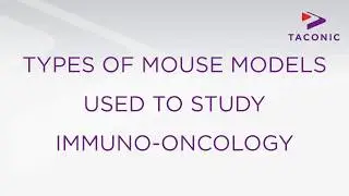 Types of Mouse Models Used in Immuno-Oncology Research