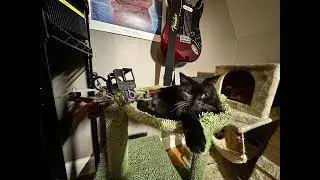 May Cause Dizziness...? SpeedStyle FPV