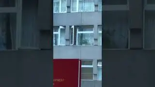 Spidercat 3