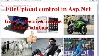 How to Upload/Retrieve Images from Database in ASP.NET