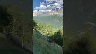Самый красивое место в Дагестане.Рутульский район с.Кусур #nature #природа #дагестан #relax #shorts