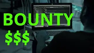 💵How much Bug Hunters Earn ??