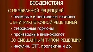 Лекция 