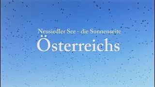 Neusiedler See - die Sonnenseite Österreichs 2020 von Baris Dilaver